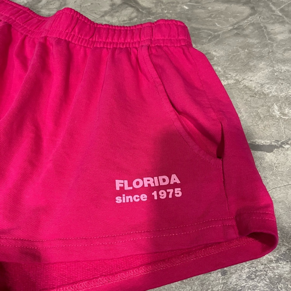 Zara Shorts